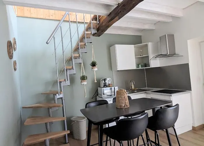 Au Jardin Secret, Hyper Centre, Terrasse アパート ディジョン